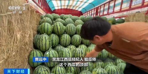 穿越成吃瓜系统,一场别开生面的现代奇遇记 第2张 穿越成吃瓜系统,一场别开生面的现代奇遇记 第2张